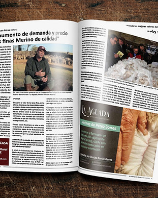 Photorealistic Magazine MockUp.jpg