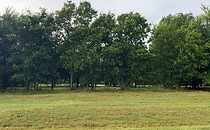 IMG_3037.JPG