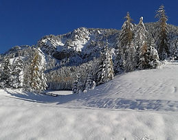 PHOTO-2020-01-13-18-39-57 (2).jpg