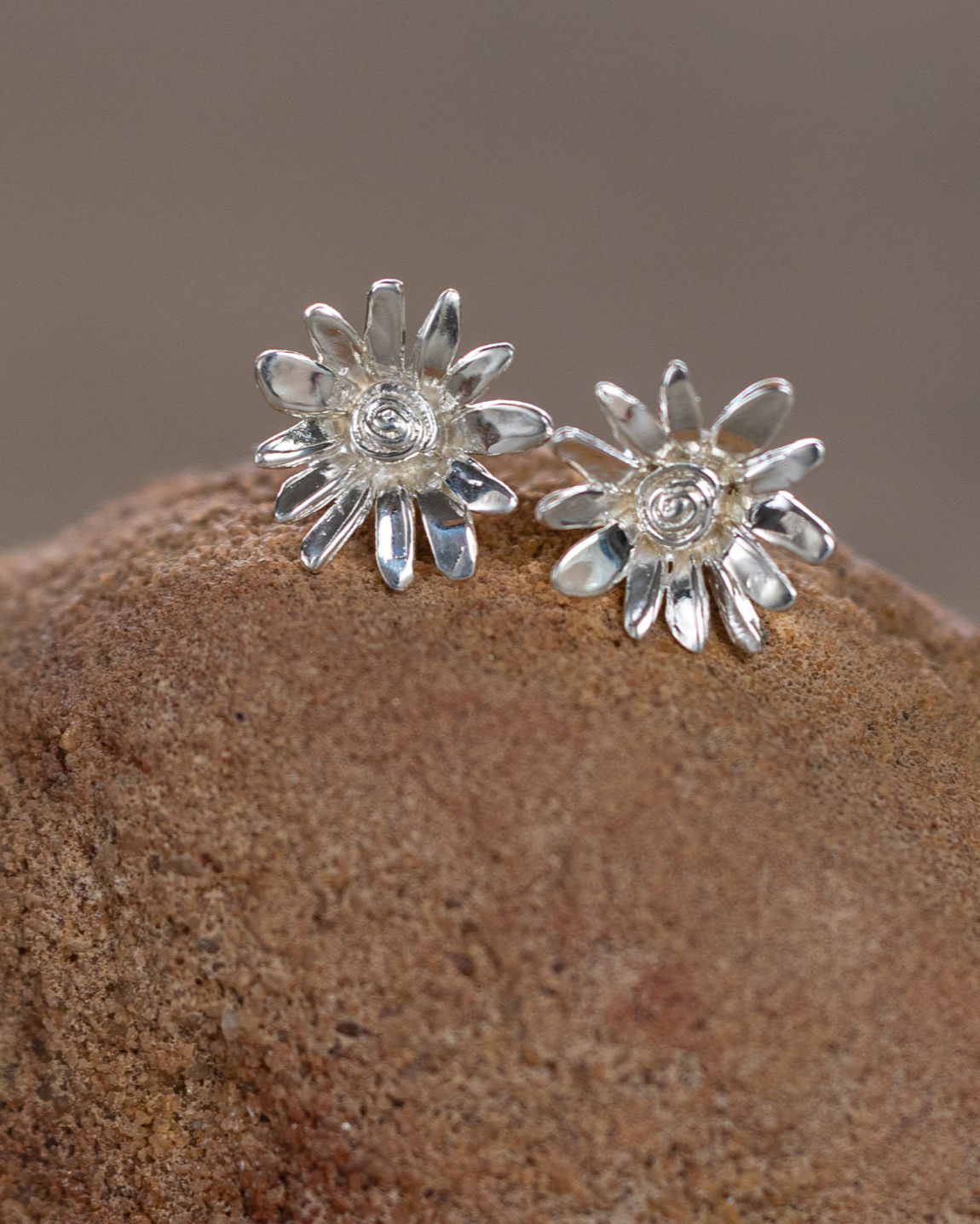 עגילי חרצית