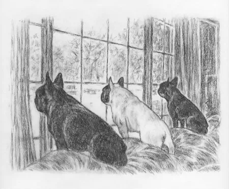 Three Horrid Dogs