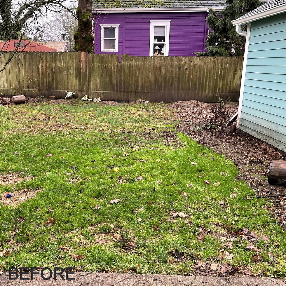 before picture without privacy