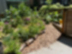 permaculture garden design portland oregon, tiny food forest, small ecological garden, sustainable landscaping