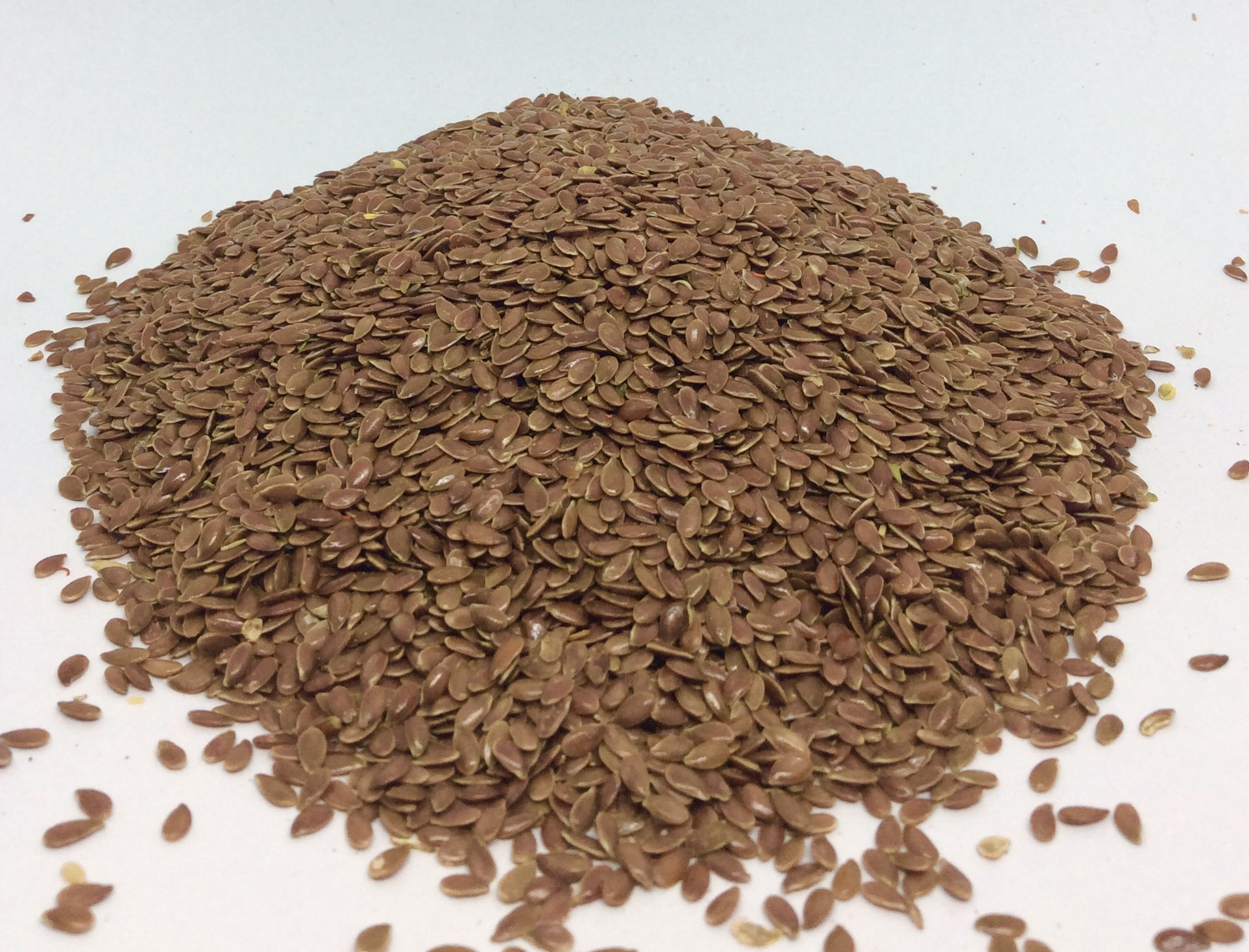 Flax Seeds