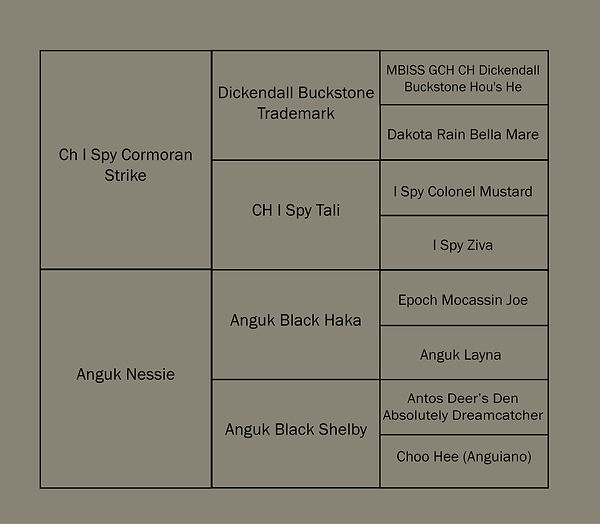 pedigree Zabú Hidra.jpg