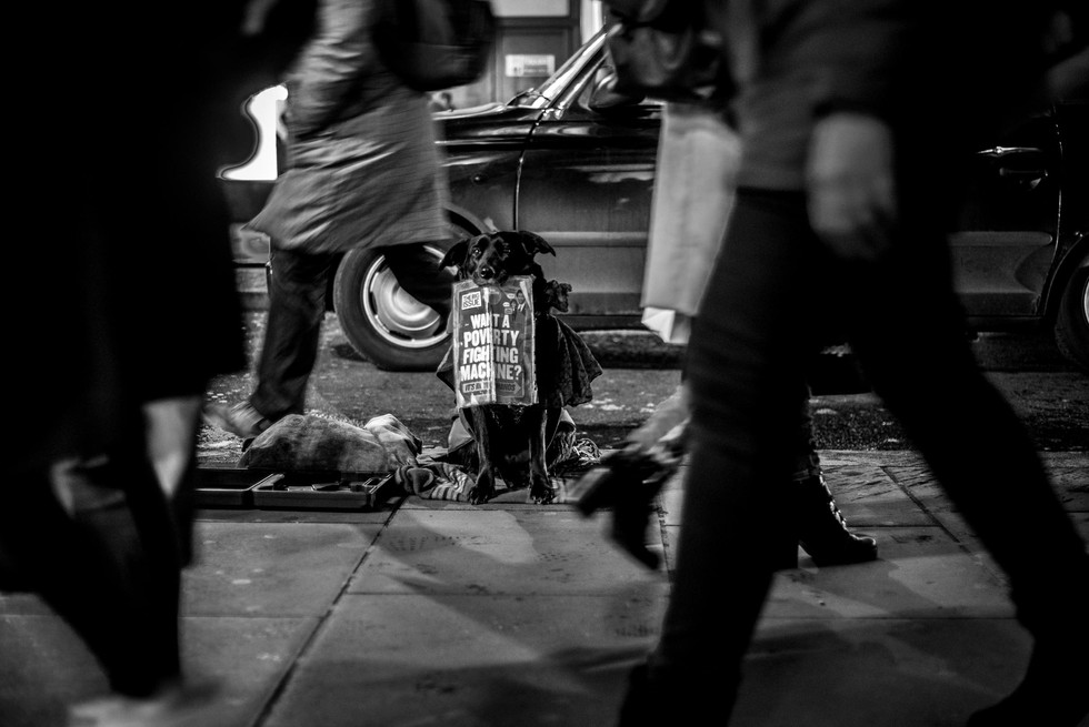 Web_Homeless_Exhibit_ARI4201.jpg