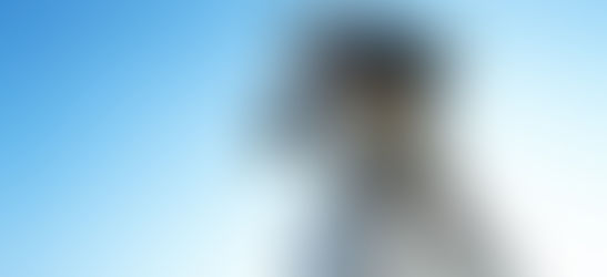 如何解决在日本遇到的语言障碍问题?