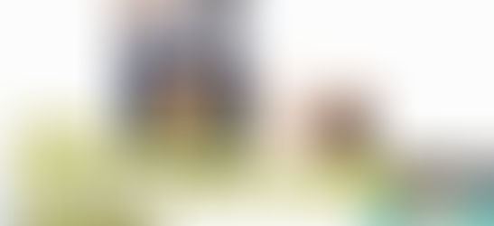 日本YAHOO最新热门资讯中文摘要:2024年11月16日