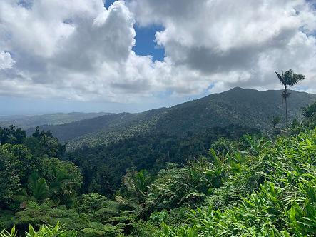 PR-El Yunque.jpg