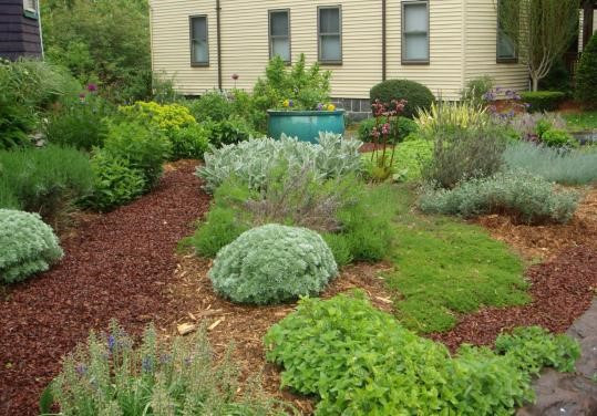 Not Impressed by Your Lawn? Replace It with a Garden!