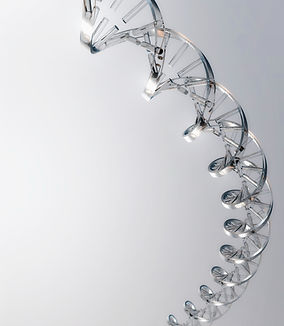 DNA is the blueprint for all life.