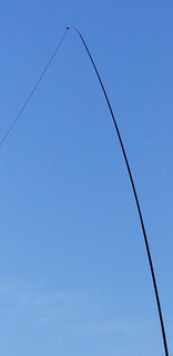 20190126_122425.jpg