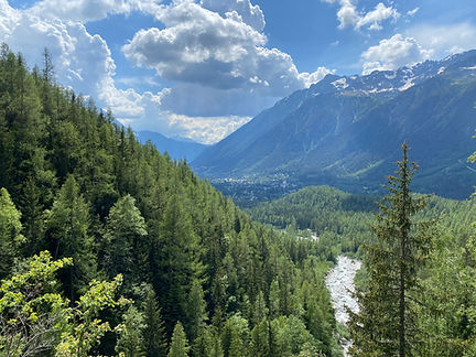 View from Les Sources de l'Arveyron