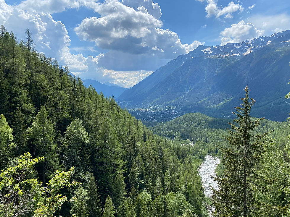 View from Les Sources de l'Arveyron