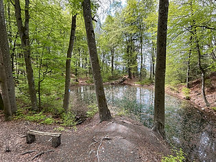 Southern Lake of the 3 Gouilles