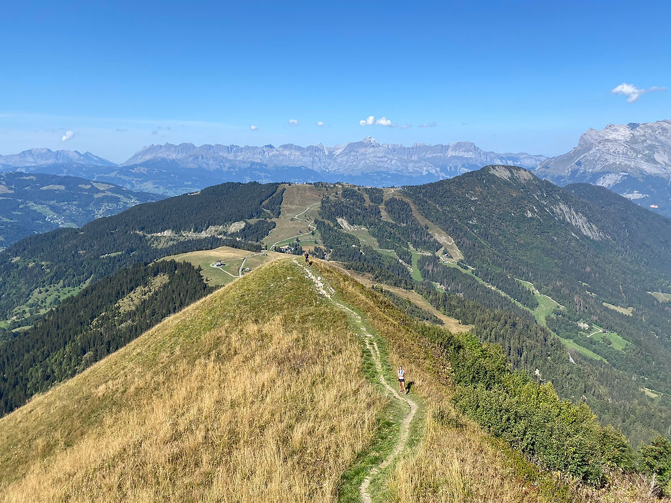 Mont Lachat to Bellevue