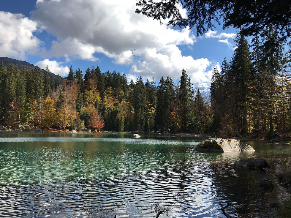 Lac Vert in Autumn