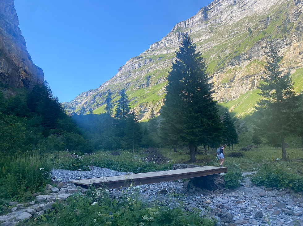 Bridge near le Clos on the way up to Refuge Sales