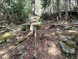 Trail Marker near Sources de l'Arveyron