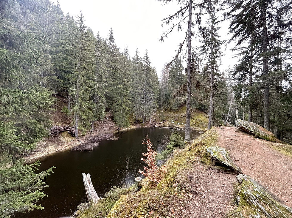 Lac Noir