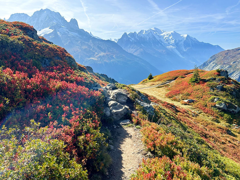 Climb up to the Aiguillette de Posettes