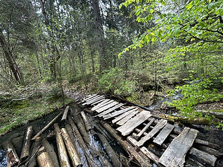 Bridge at the Northern Lake of the 3 Gouilles