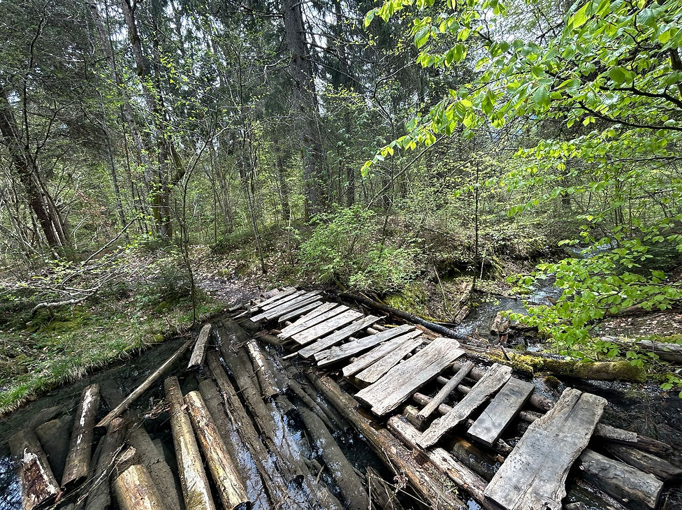 Bridge at the Northern Lake of the 3 Gouilles