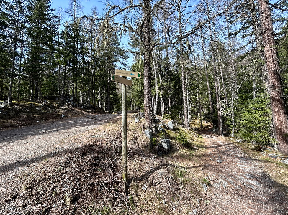 Trail Marker for Source de l'Arveyron