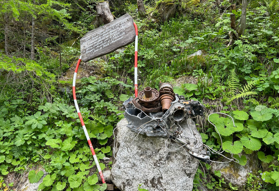 Airplane wreck at Buvette du Cerro