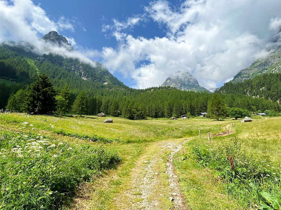 Trail to La Poya