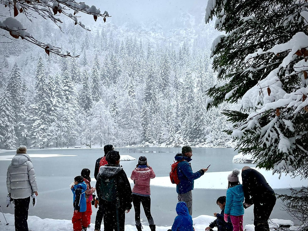 Lac Vert in Winter