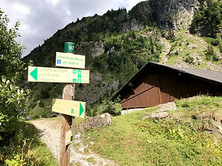 Trail Market at Chalets du Souay