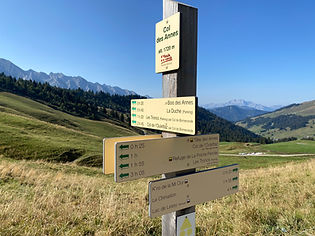 Col des Annes Trail Marker