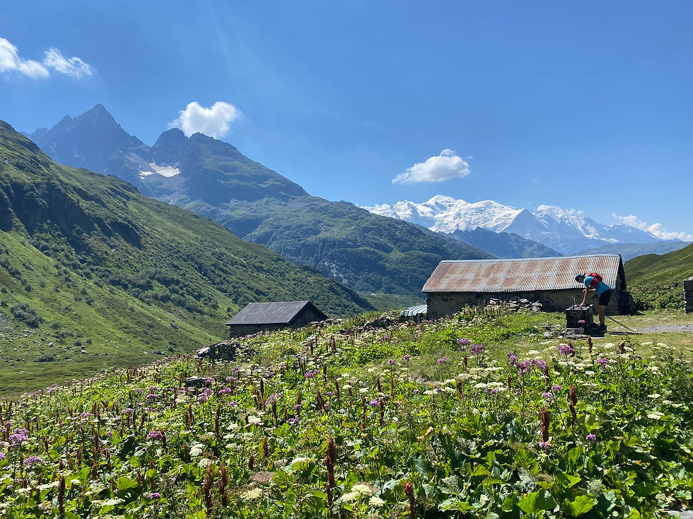 Chalets de Villy