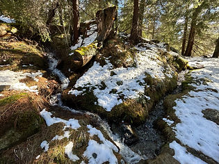 Little Streams near Le Buet