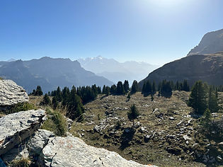 Near Chalets de Vormy