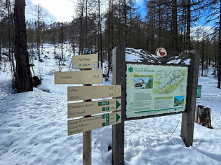 Trail Marker near the La Poya ski area