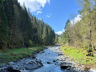 Trient River below Finhaut