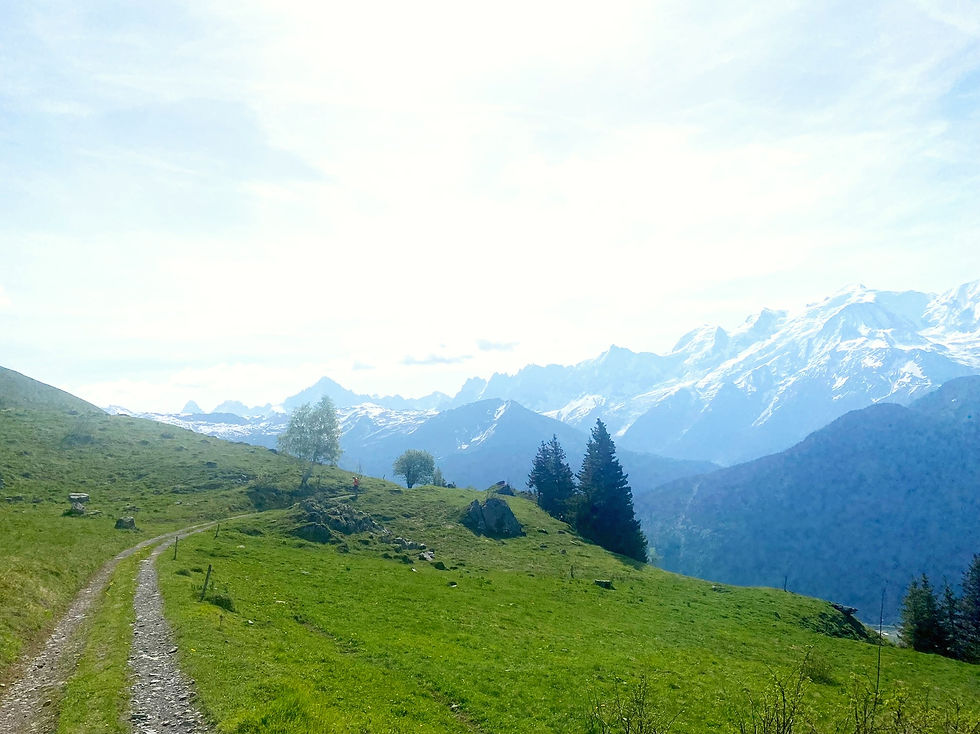 Trail towards Chalets de Varan