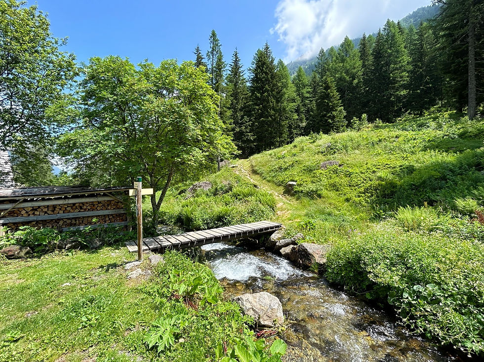 Bridge near Le Buet