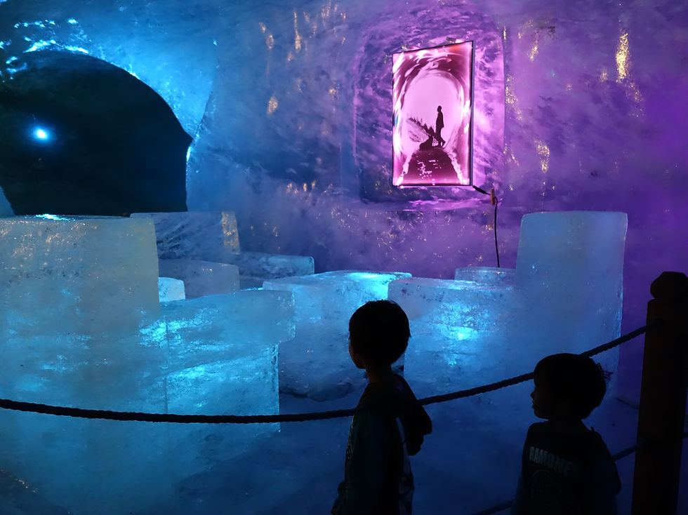 Mer de Glace Ice Cave