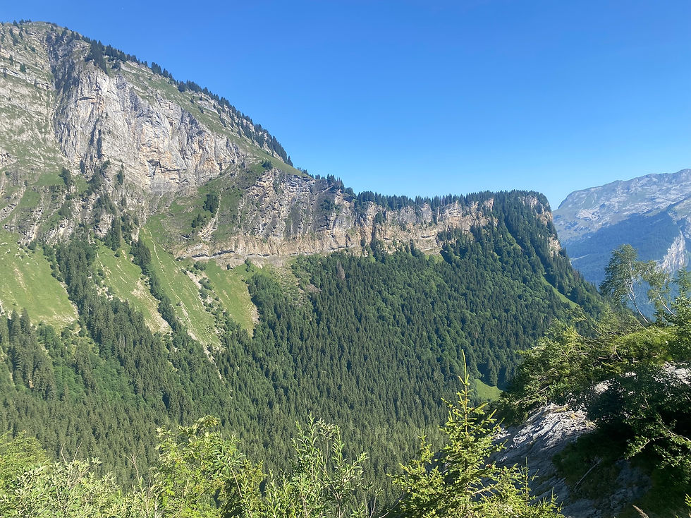 View towards Le Brion