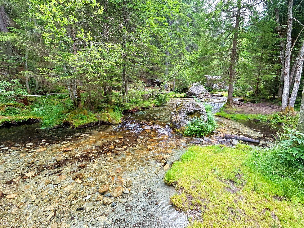Little river on trail from Paradis des Praz
