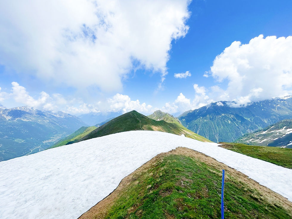 View to Switzerland from Tete de Balme
