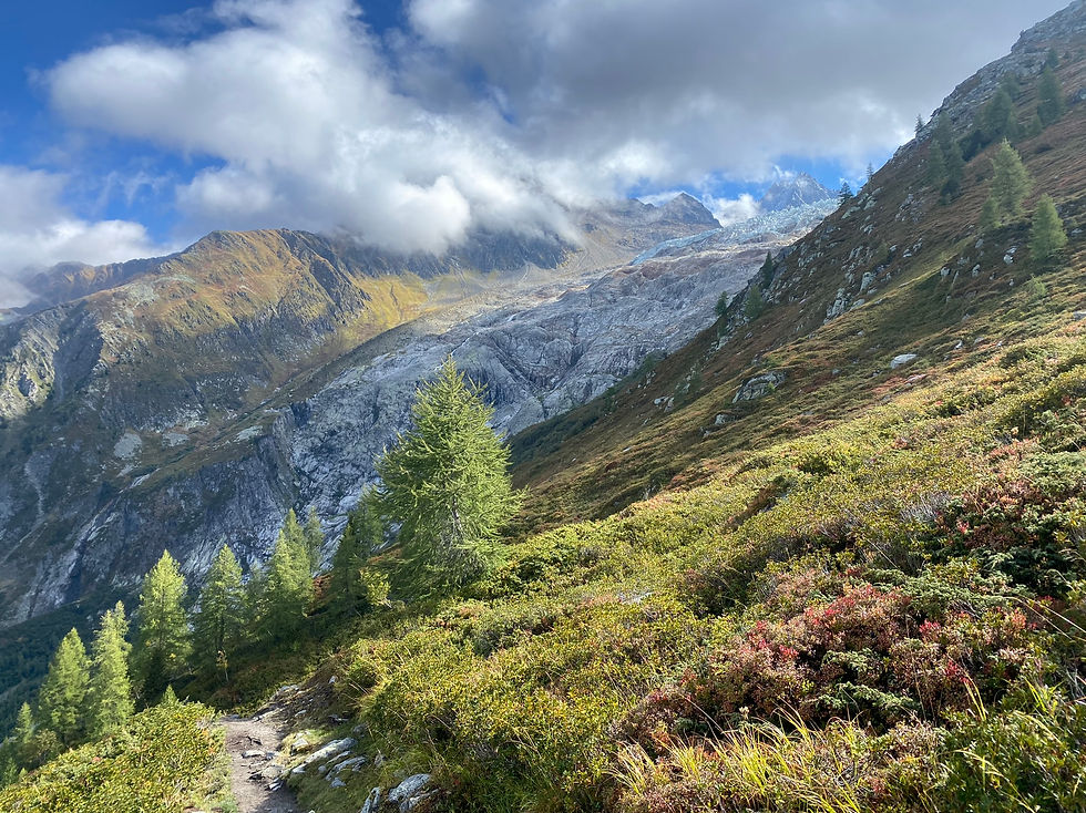 Glacier du Tour from Peclerey