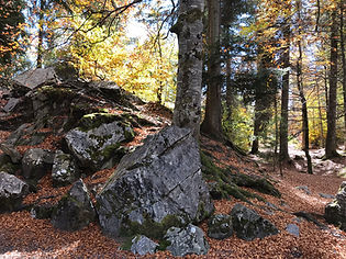 Trail around Lac Vert