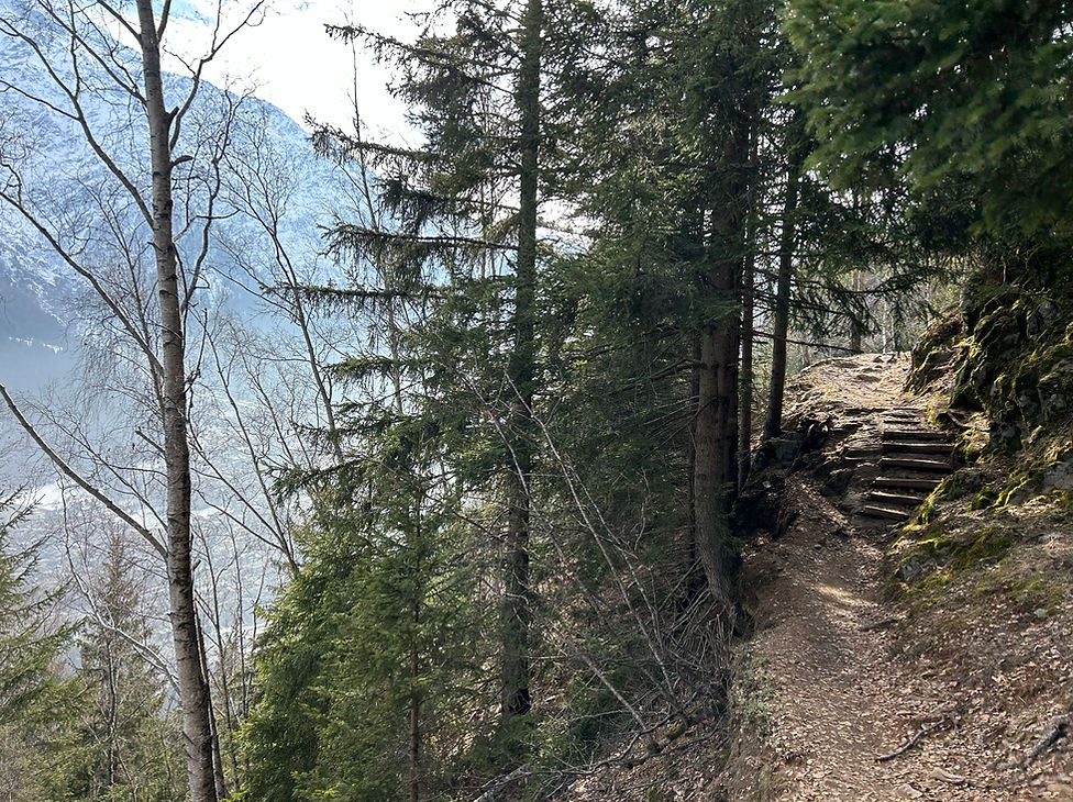 Petite Balcon Sud near Parc Merlet
