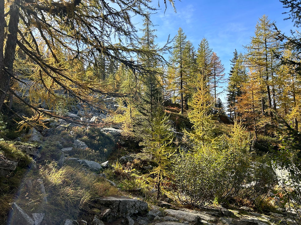 Trail up to Montenvers