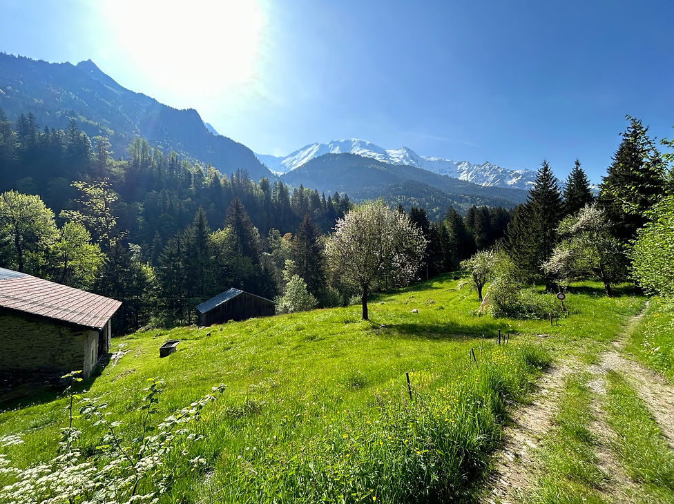 Trail to Les Contamines