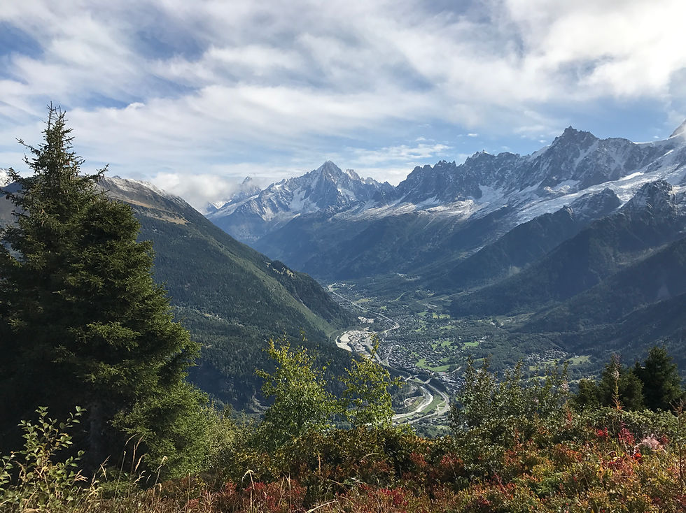 View from Le Prarion towards Chamonix